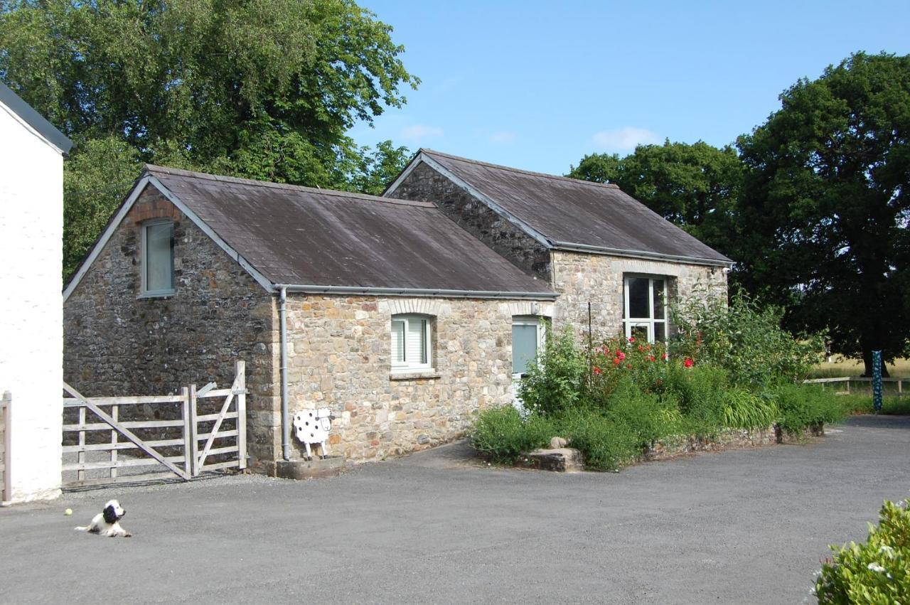 Dinefwr Cottage Carmarthen Exterior foto