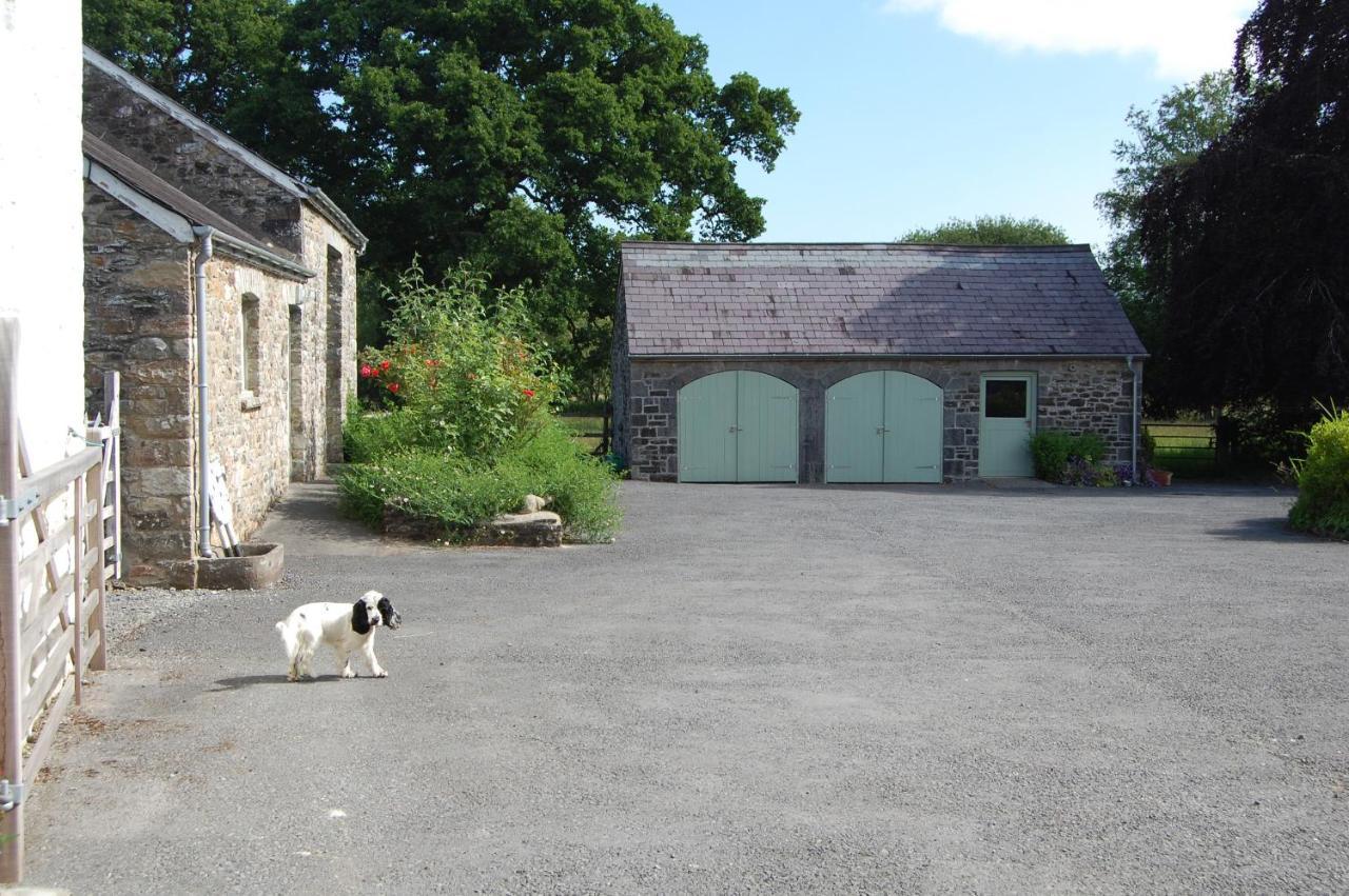 Dinefwr Cottage Carmarthen Exterior foto