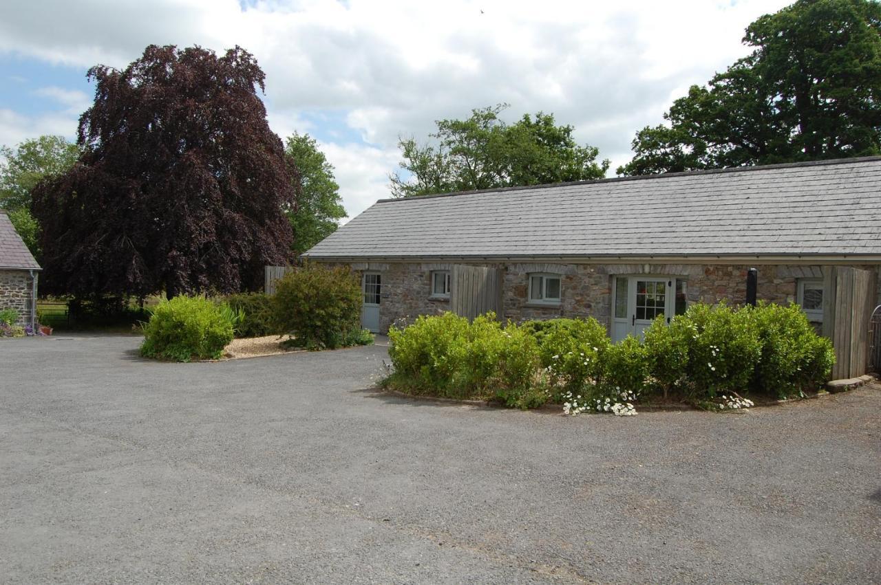 Dinefwr Cottage Carmarthen Exterior foto